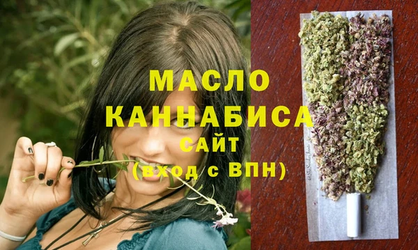 дмт Ельня