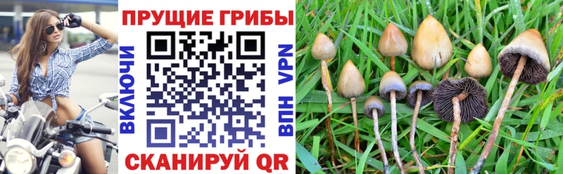 Псилоцибиновые грибы GOLDEN TEACHER  Щёлкино 